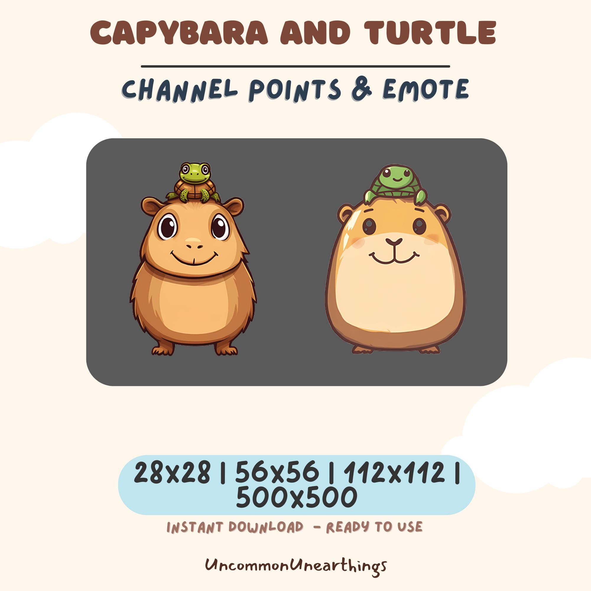 Cute capybara and turtle emote pack for Twitch and Discord, available in multiple sizes for instant download.